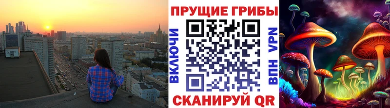 Псилоцибиновые грибы Magic Shrooms  блэк спрут   Балашиха 
